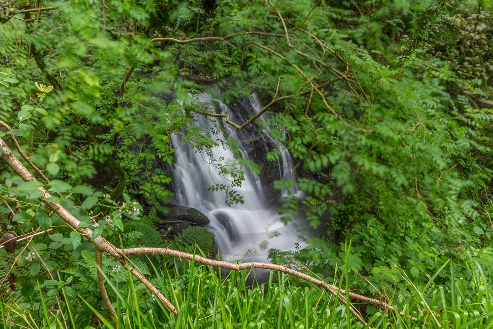 Woodland Waterfalls