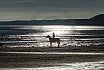 Beach Riding