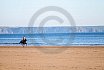 Beach Riding