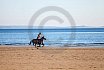 Beach Riding