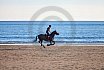 Beach Riding