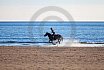 Beach Riding