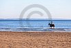 Beach Riding