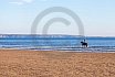 Beach Riding