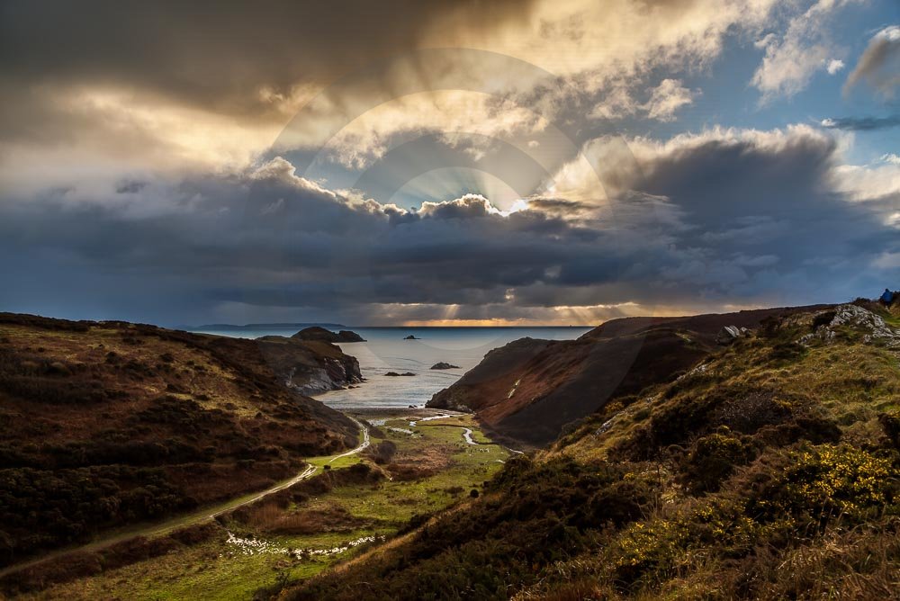 Coast Sunset