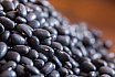 Dried Beans