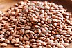 Dried Beans