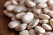 Dried Beans