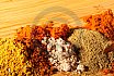 Indian Spices