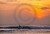 Surfing Sunset